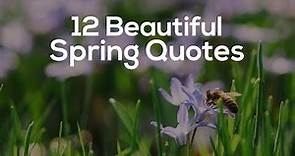 12 Beautiful Spring Quotes and Sayings