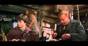 Harry Potter and the Chamber of Secrets - Harry's first time at the Weasley's home (HD)