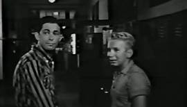 Going Steady (1958) - (Comedy, Drama)