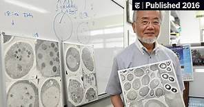 Yoshinori Ohsumi of Japan Wins Nobel Prize for Study of ‘Self-Eating’ Cells