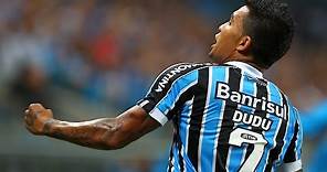 Dudu ● Goals & Skills ● Grêmio ● 2014 |HD|