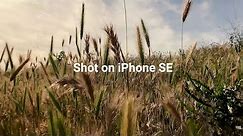 iPhone SE (2020) Cinematic 4k - SANDMARC Anamorphic