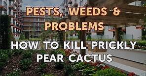 How to Kill Prickly Pear Cactus