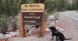 FULL Campsite Tour of Whitney Portal Campground 1-44 (Mount Whitney, California)