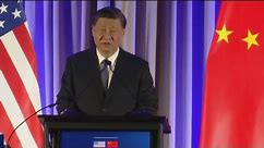Chinese President Xi Jinping's APEC welcome reception met with protests