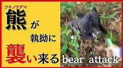 【danger】Fighting an attacking bear！Bear's amazing speed and power熊に襲われた！【戦慄の瞬間】熊に遭遇して襲われる！必死に戦う一部始終！
