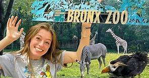 Exploring the Bronx Zoo (New York City) | HAVA MEDIA