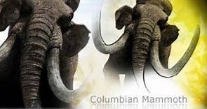 Primeval [2007- 2011] - Columbian Mammoth Screen Time