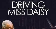 Conduciendo a Miss Daisy (2014) Online - Película Completa en Español - FULLTV