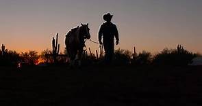 'The Last Cowboy' Official Trailer