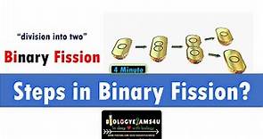 What are the steps of Binary fission? What is Z ring?