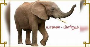 விலங்குகளின் பெயர்களும் அதன் சத்தமும்-தமிழில் -Animals name and Its Sound -Tamil#waterfallschannel