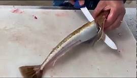 How to Fillet a Flathead