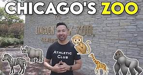The WILD Animals at Lincoln Park Zoo - Chicago Tour