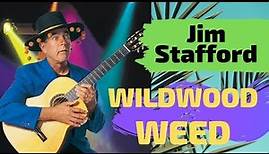 Jim Stafford LIVE Wildwood Weed & Saving Chihuahuas Lives