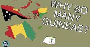 Why are so many countries called Guinea? (Short Animated Documentary)