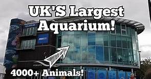 A Tour of the UK's LARGEST Aquarium! - NMA Plymouth (4000+ Animals!!)