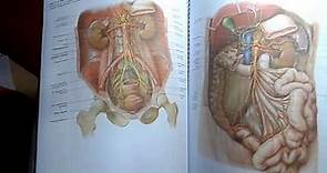 Prometheus Atlas de Anatomia 2ª edición