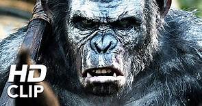 Apes Revolution - Il pianeta delle scimmie | Sopravvissuti | Clip HD | 20th Century Fox