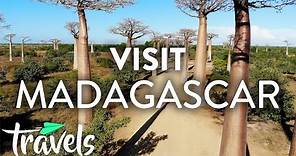 Top 10 Reasons to Visit Madagascar | MojoTravels