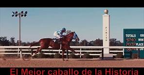 La historia de Secretariat el mejor caballo de carreras del mundo 🏇🏇