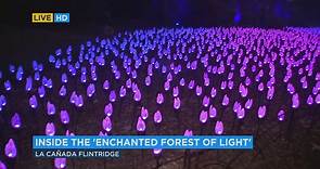 La Canada Flintridge's Descanso Gardens attracts visitors to 'Forest of Light' display