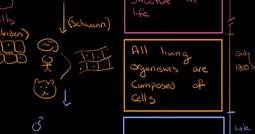 History and development of cell theory