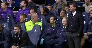 Tim Sherwood pulls fan out of the stand to take his place on the bench!
