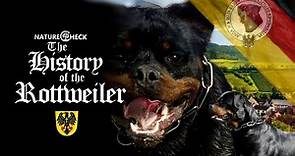 The History of the Rottweiler