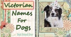 50 Victorian Era Names for Dogs
