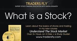 What is a Stock: Beginners Guide to Investing