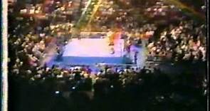 WWF Superstars of Wrestling 9/24/88