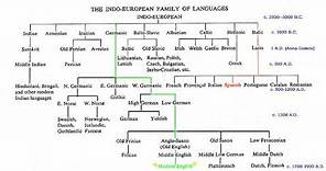 Indo European Language Family