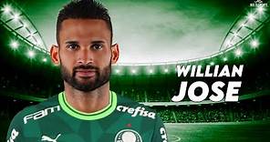 Willian José 2024 - Bem Vindo ao Palmeiras? - goals | HD