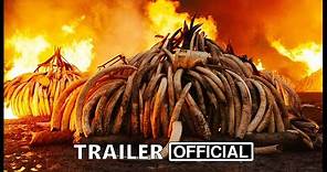 Anthropocene: The Human Epoch Movie Trailer (2019) | Documentary Movie