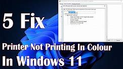 Printer Not Printing In Color In Windows 11 - 5 Fix How To