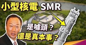 最安全的核電廠？郭董提的小型核電廠SMR，在中國已有併網發電實例！用發電量換安全性，真的遇到停電也不怕？