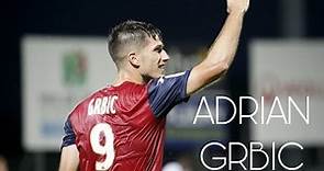 Adrian Grbic • All goals 2019-20 • Clermont Foot