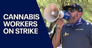 Arizona marijuana dispensary workers go on strike