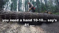 HOW TO GET YOUR CHAINSAW CUTTING FAST , AND CUTTING TREES DOWN
