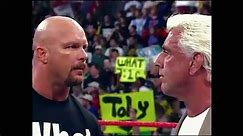 Stone Cold Steve Austin vs. Ric Flair and Big Show (WWE Judgment Day 2002)