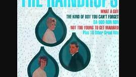 The Raindrops - THE KIND OF BOY YOU CAN'T FORGET