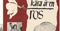 Min kära är en ros (1963) Online - Película Completa en Español - FULLTV