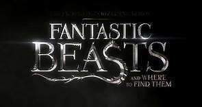 Fantastic Beasts and Where to Find Them | official trailer announcement (2016) J.K. Rowling
