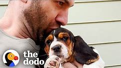 Tiny Basset Hound Puppy Gets Adopted And Meets Her New Pack | The Dodo