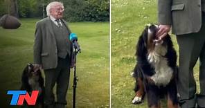 El perro del Presidente de Irlanda quiso llamar la atención de su dueño y se robó todas las miradas
