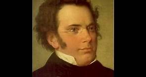 Franz Schubert: "La muerte y la doncella" - 1. Allegro