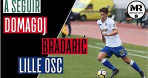 DOMAGOJ BRADARIĆ | LILLE OSC | Goals, Assists & Skills