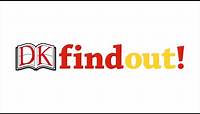 DKfindout! A free online encyclopedia for children