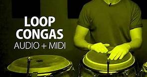 Loop Congas Bolero | Audio + Midi | BPM 90 | GRATIS | MEGA